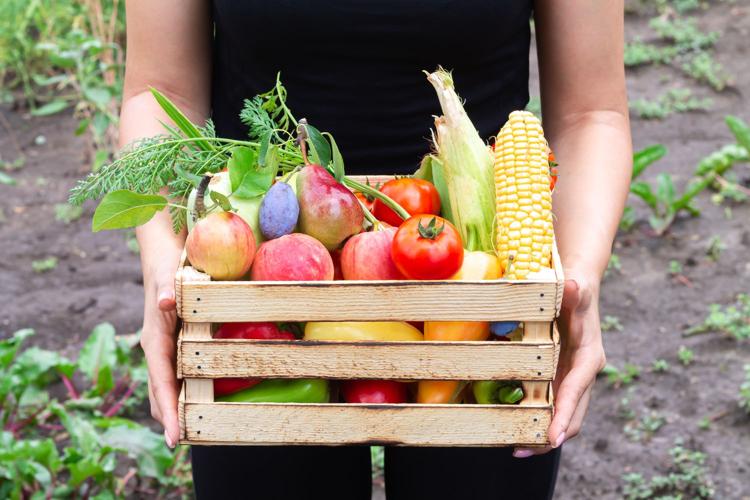 Abel & Cole delivery boxes, or fresh produce at a UK doorstep. Warm and natural.